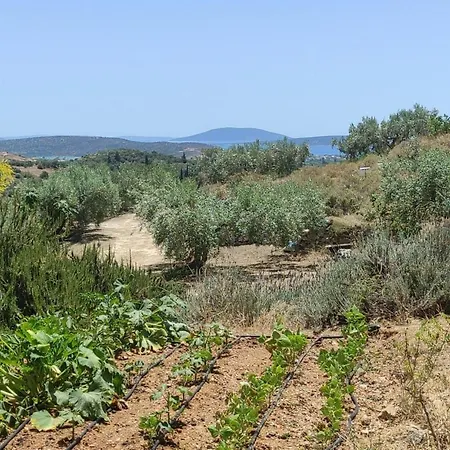 Lori's Country Prázdninový dům