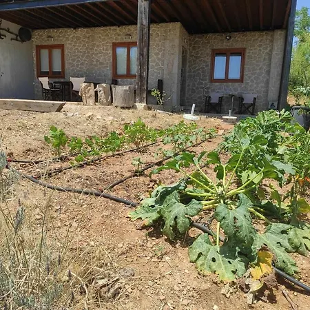 Lori's Country * Levkákia