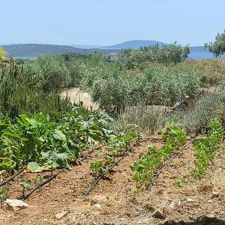 Prázdninový dům Lori's Country *