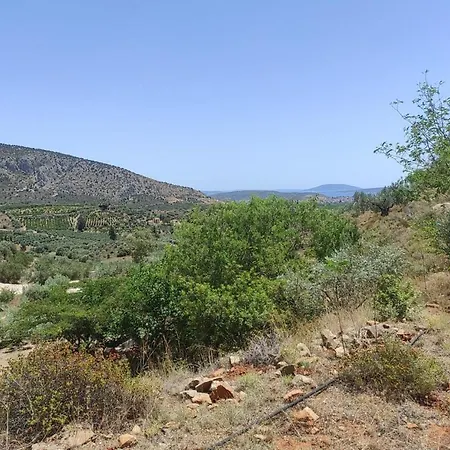 Lori's Country Prázdninový dům