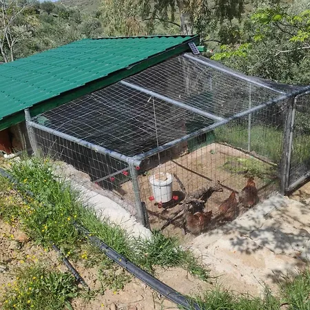 Lori's Country بيت للعطل