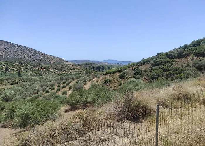 Lori's Country Levkákia