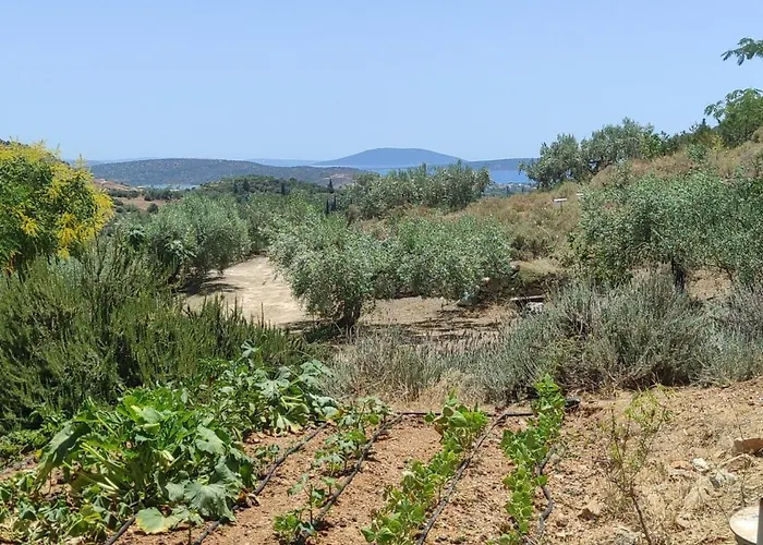 Lori's Country Dom wakacyjny