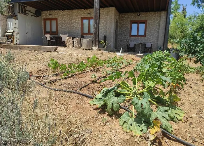 Lori's Country * Levkákia