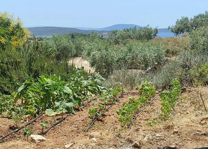 Dom wakacyjny Lori's Country *