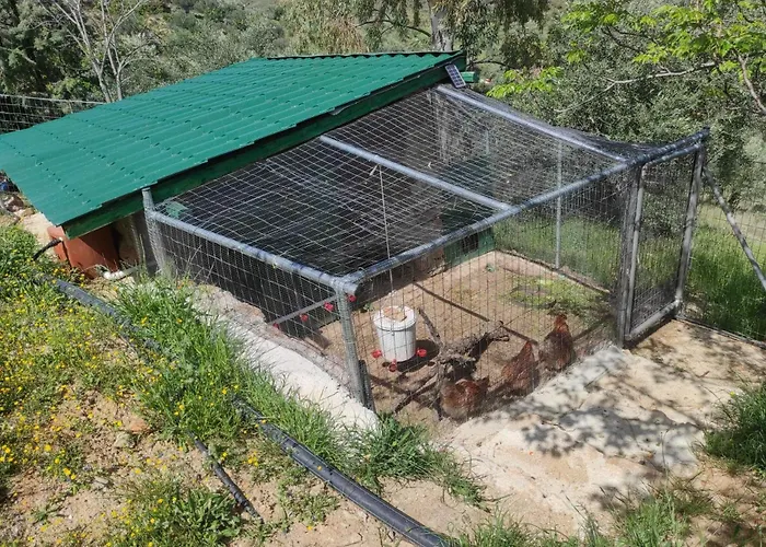 Lori's Country Dom wakacyjny